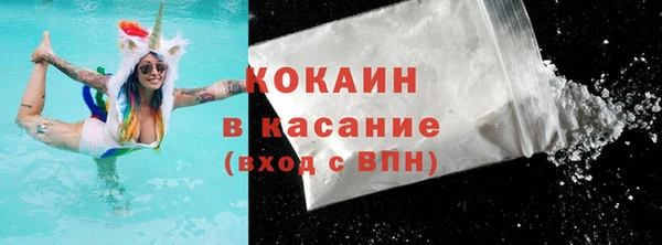 стафф Гусев