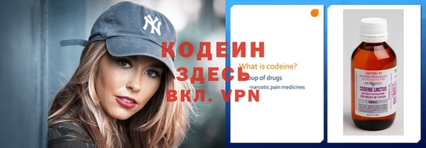 прущие грибы Гусь-Хрустальный