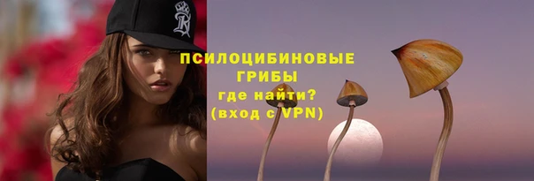 стафф Гусев