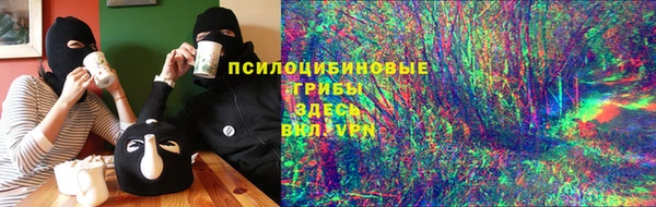 прущие грибы Гусь-Хрустальный