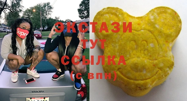 стафф Гусев