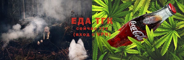 стафф Гусев