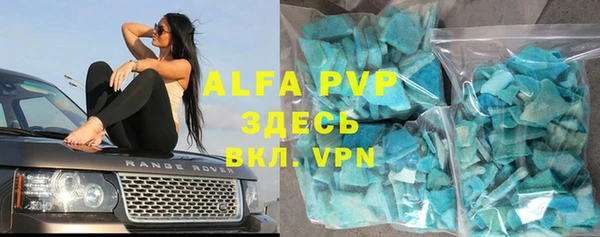 прущие грибы Гусь-Хрустальный