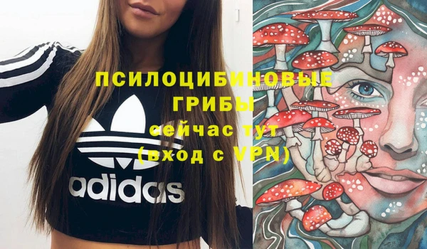 стафф Гусев