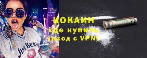 стафф Гусев