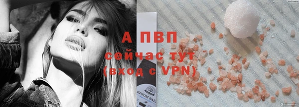 прущие грибы Гусь-Хрустальный