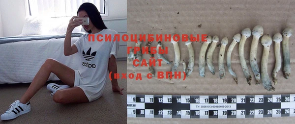 стафф Гусев