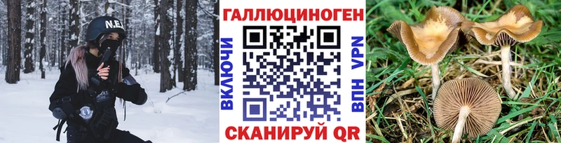 Псилоцибиновые грибы прущие грибы  Купить  Учалы 